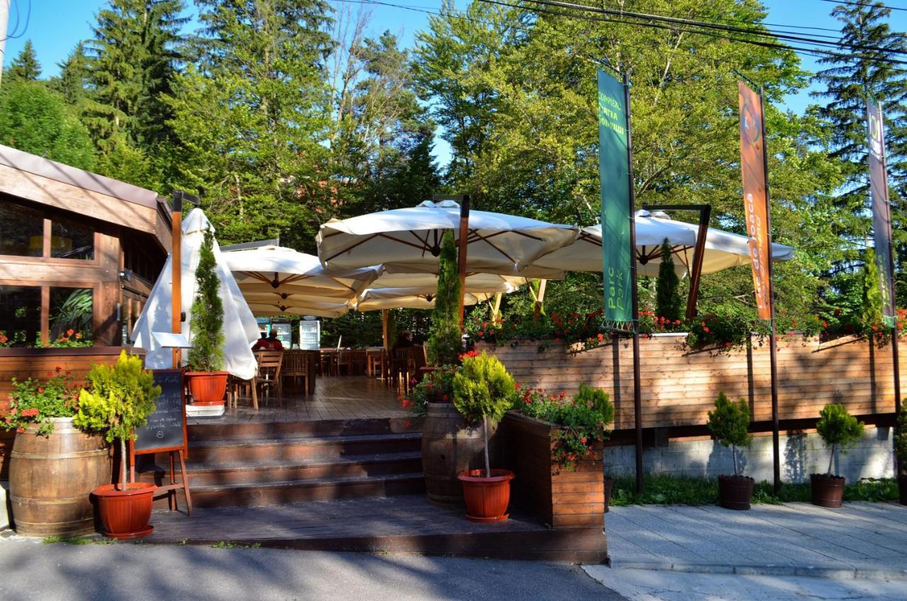 Piatra Soimului Sinaia